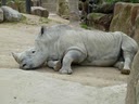 zoo
