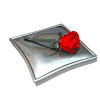 Sant Jordi