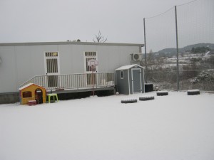 El pati tot nevat