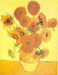 sunflowers