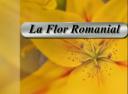 florjpg.jpeg