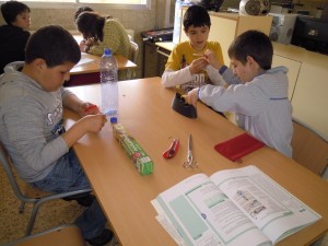 pulmo_1