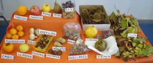 tast-fruits-tardor-003