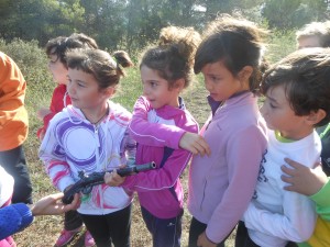 Copia (2) de DSCN0212