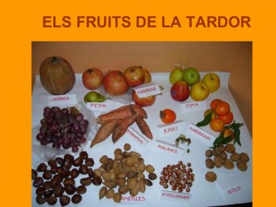 els-fruits-de-la-tardor-joc-de