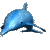 gif-dolphin