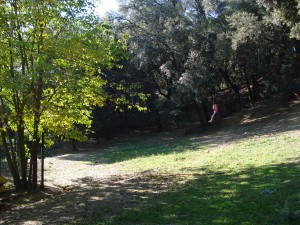 DSC07921