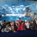 Els de 2n van al zoo