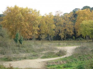 LA TARDOR A CAN POU. SANT ANTONI DE VILAMAJOR