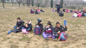 20150212_102055 (Small)