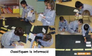 classsifiquem3