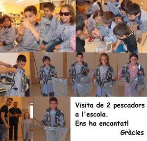 colage11