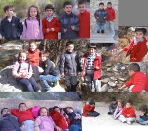 colage7