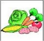 Imagen2