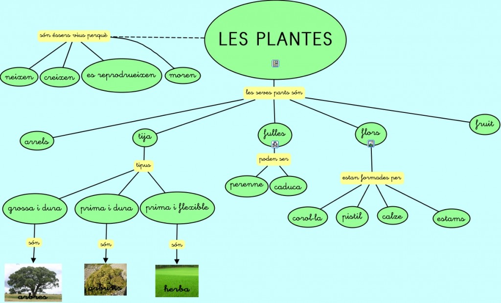Les plantes amb recursos.cmap