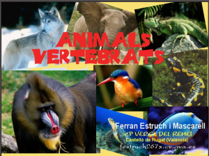Captura de 2015-06-05 15:19:08