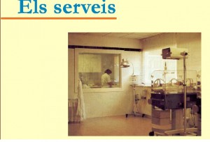 Els serveis