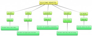 mapa conceptual 1