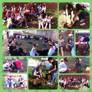 plantem arbres 3