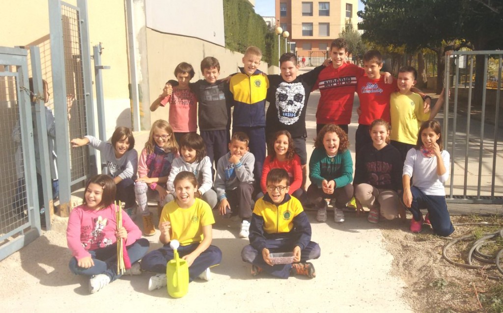 PREPARATS PER SEMBRAR FAVES 5è-B 29-10-2015