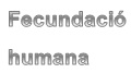 Fecundacio-humana