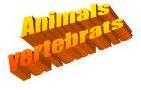 animals-vert