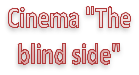 cinema the blind side