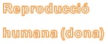 repr-humana-dona