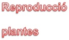 repr-plantes