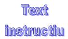 text-instructiu