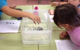 la foto flotabilitat