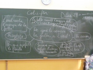 Mapa d'idees sobre la pregunta
