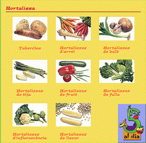 Classificació d'hortalisses