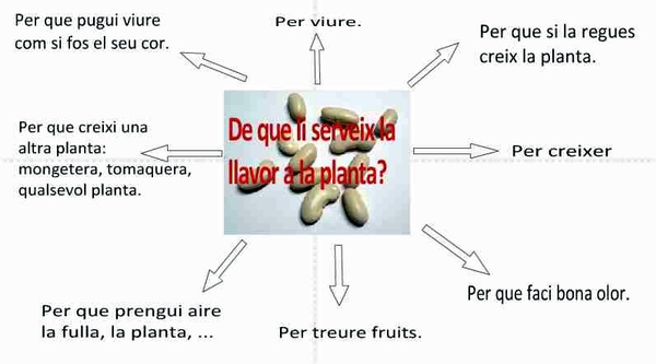 mapa_idees_p