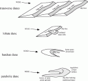 dunesdiagram4.gif