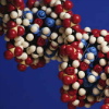 adn-dna