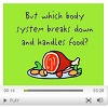Digestive system video