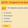 QUIZ