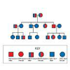 arbre geneològic
