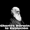 darwin