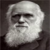 darwin3
