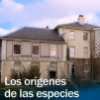origenesespecies