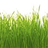 NaturalsOM