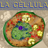 celula