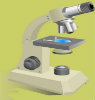 microscopi_virtual