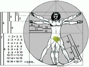 VITRUBIO PROPORCIONES censurado
