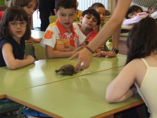 cambiar-tamanosany2630