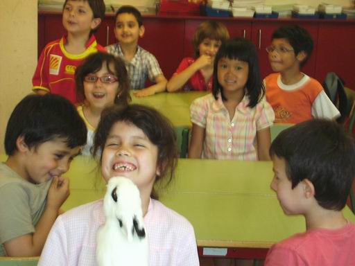 cambiar-tamanosany2663