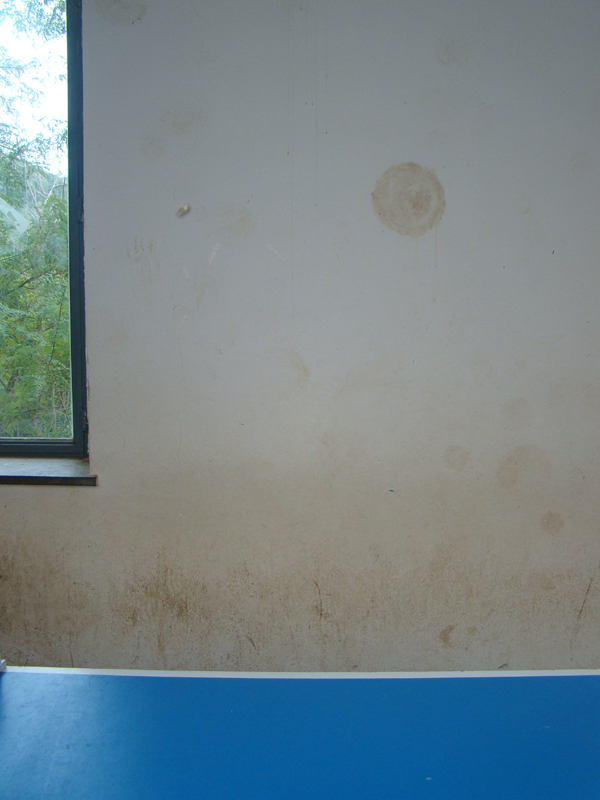 blau blanc1