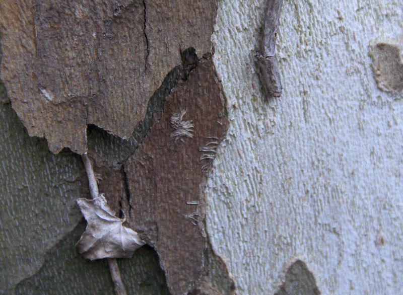 fotosformacio-015-800×600.jpg